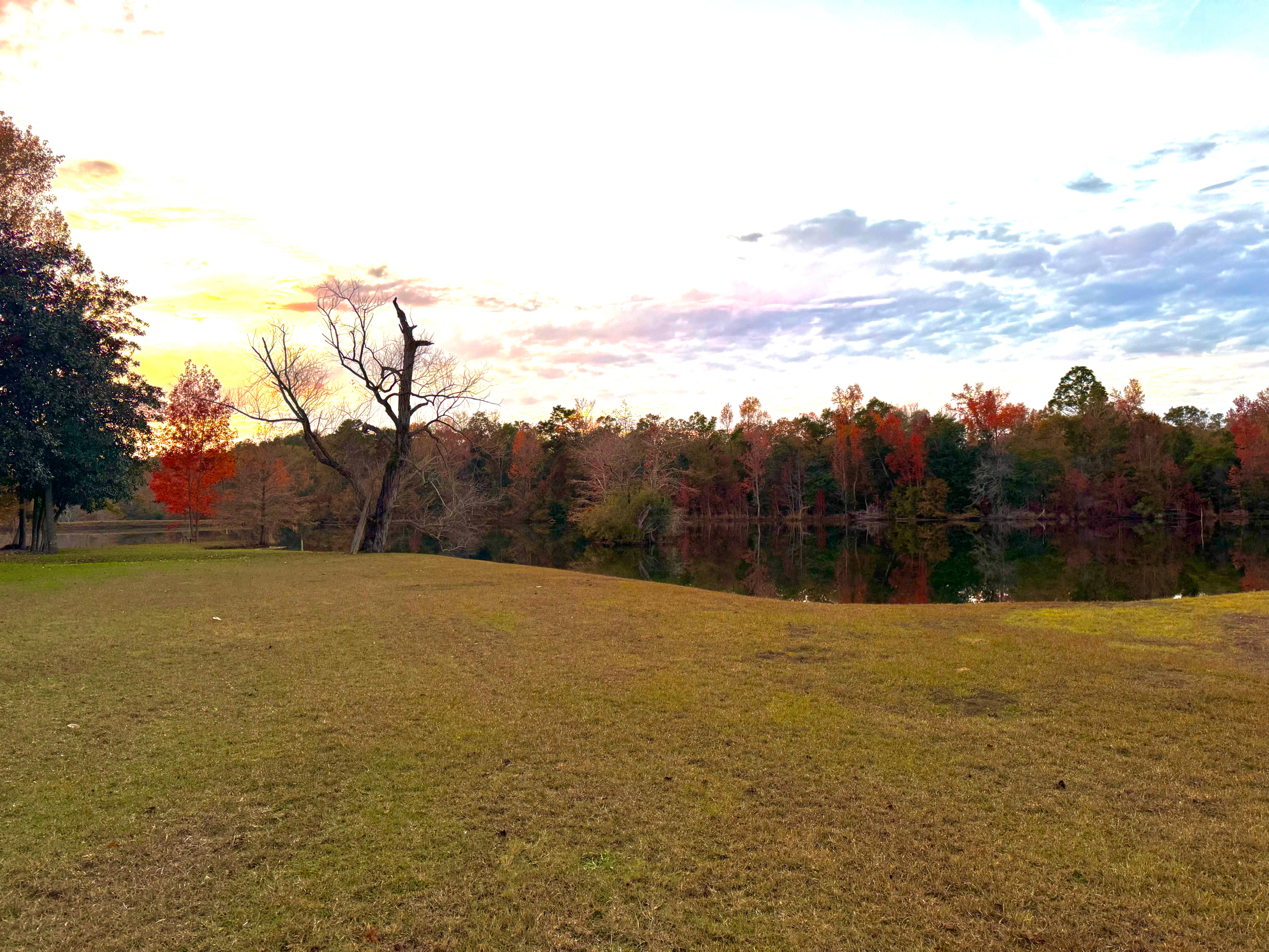 Alabama Deer Hunting